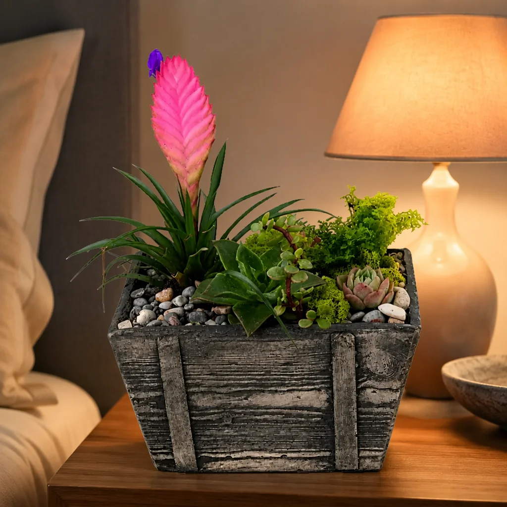 Pembe Tillandsia ve Sukulent  Aranjmanı — yaşam alanında