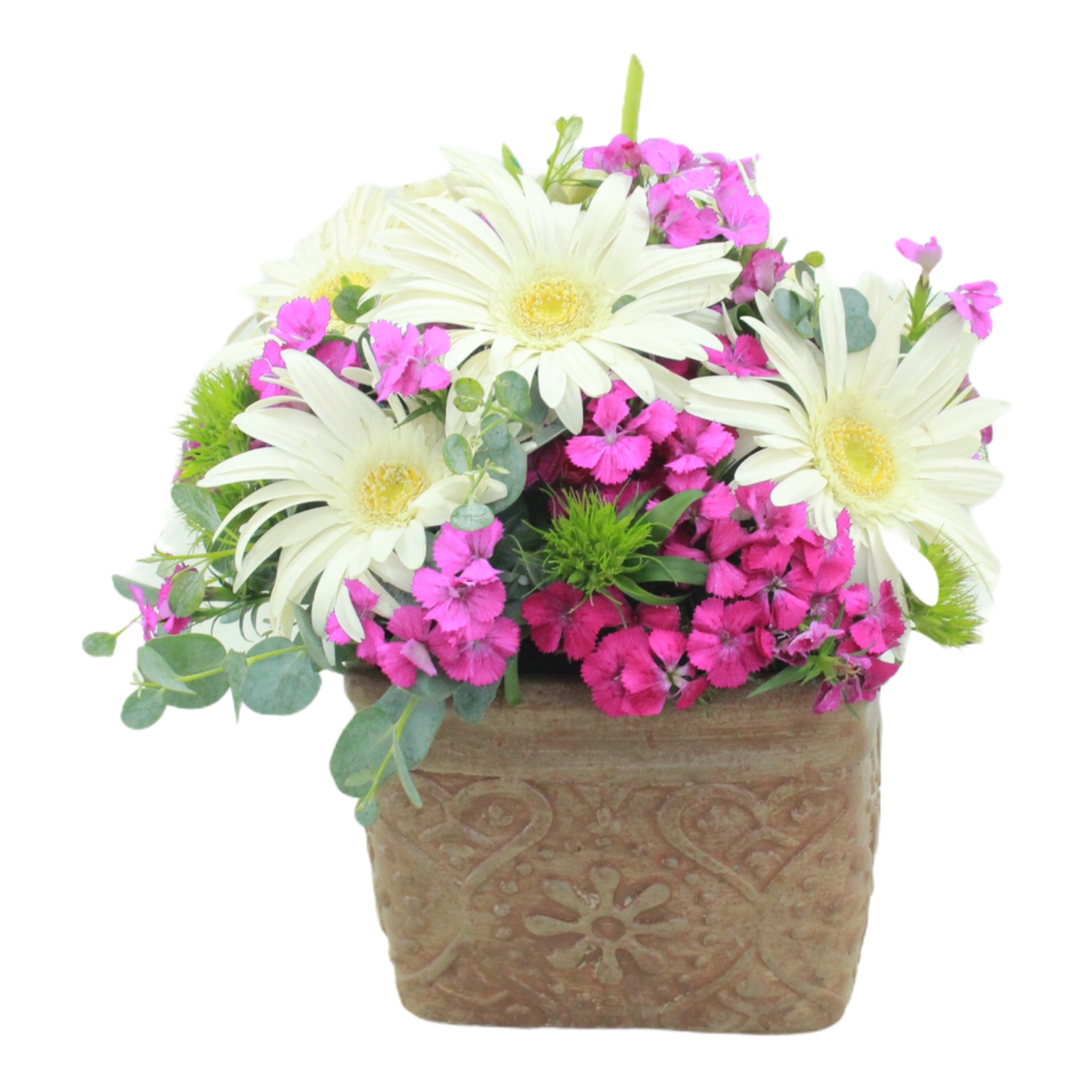 zel Saksda Gerbera Serisi
