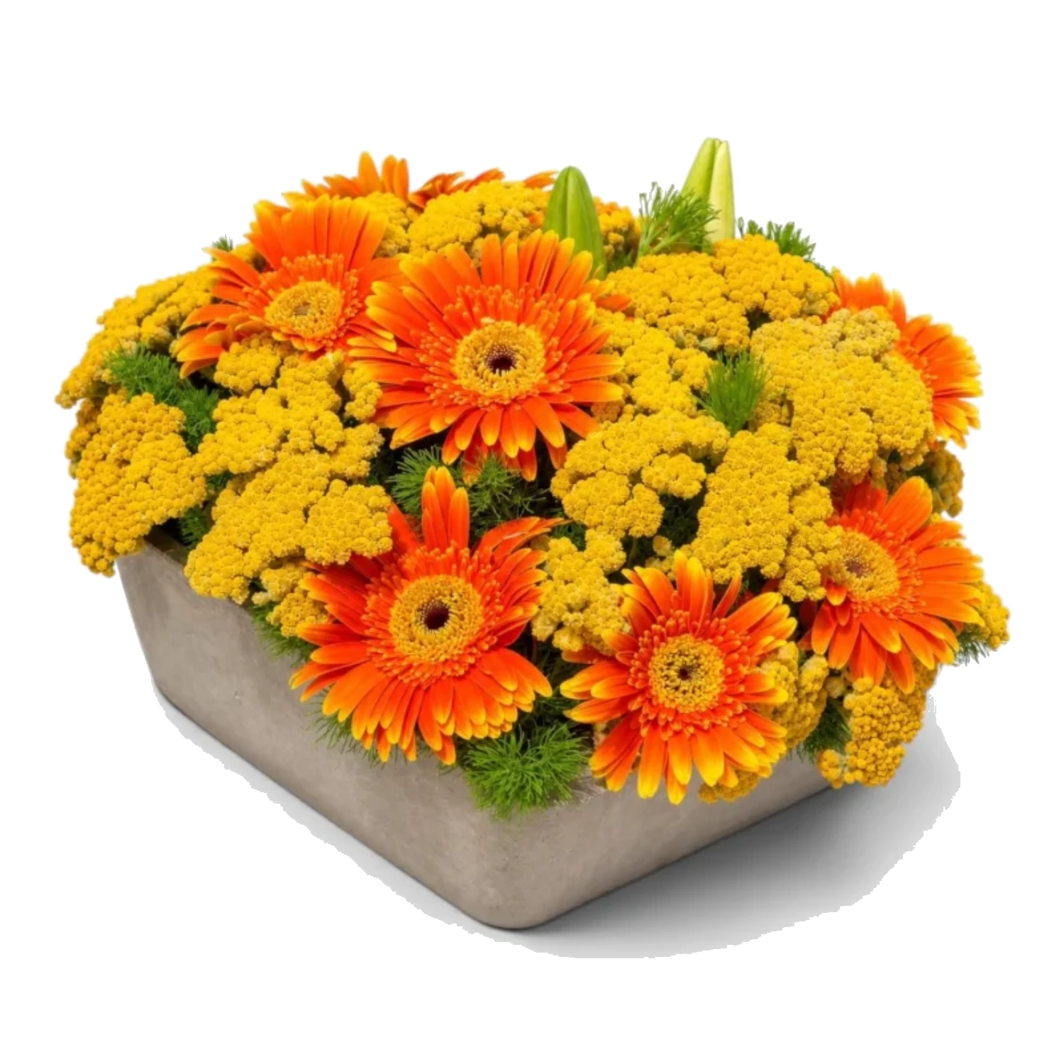 Turuncu Gerbera ve Civanperçemi Aranjmanı
