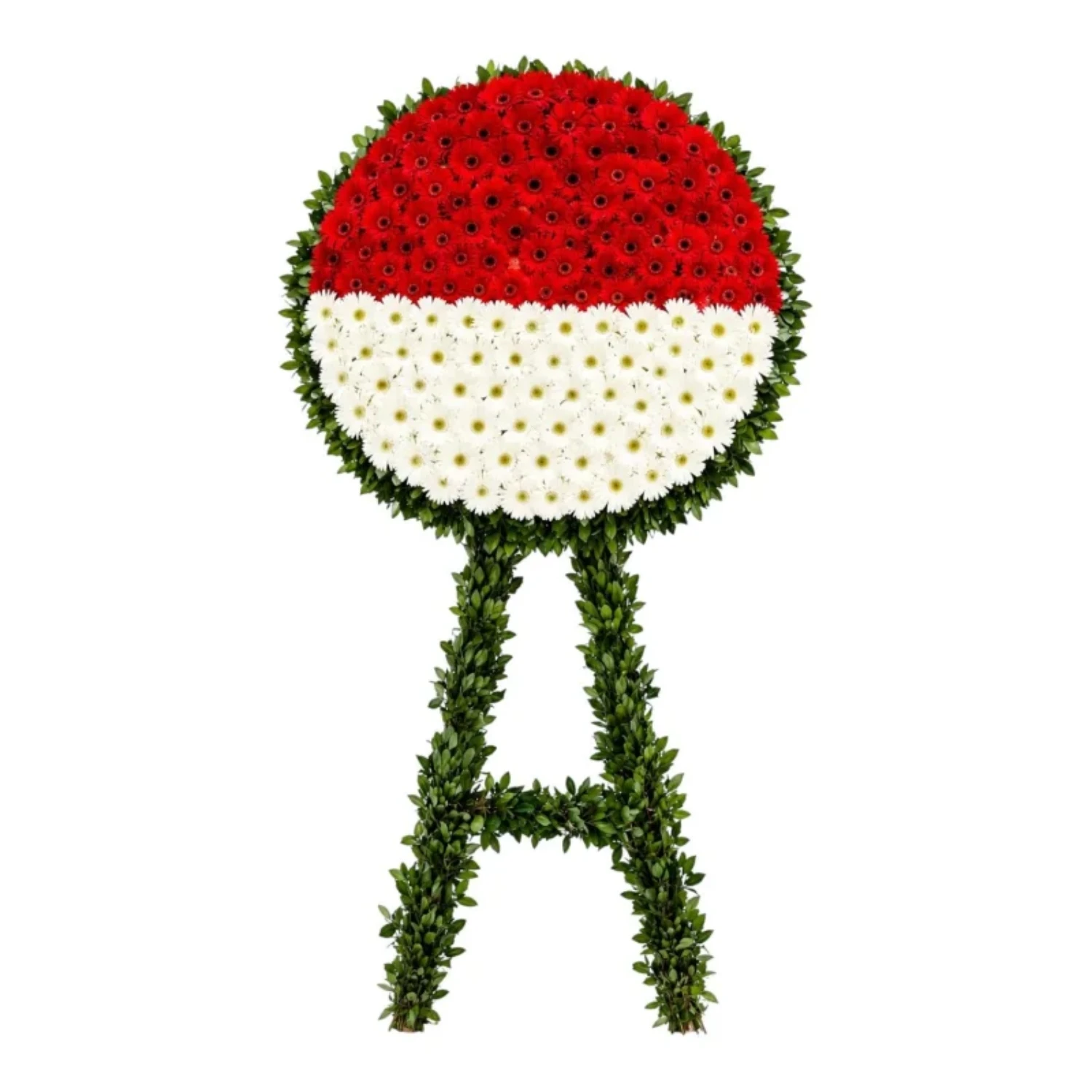 Kırmızı Beyaz Gerbera Çelenk