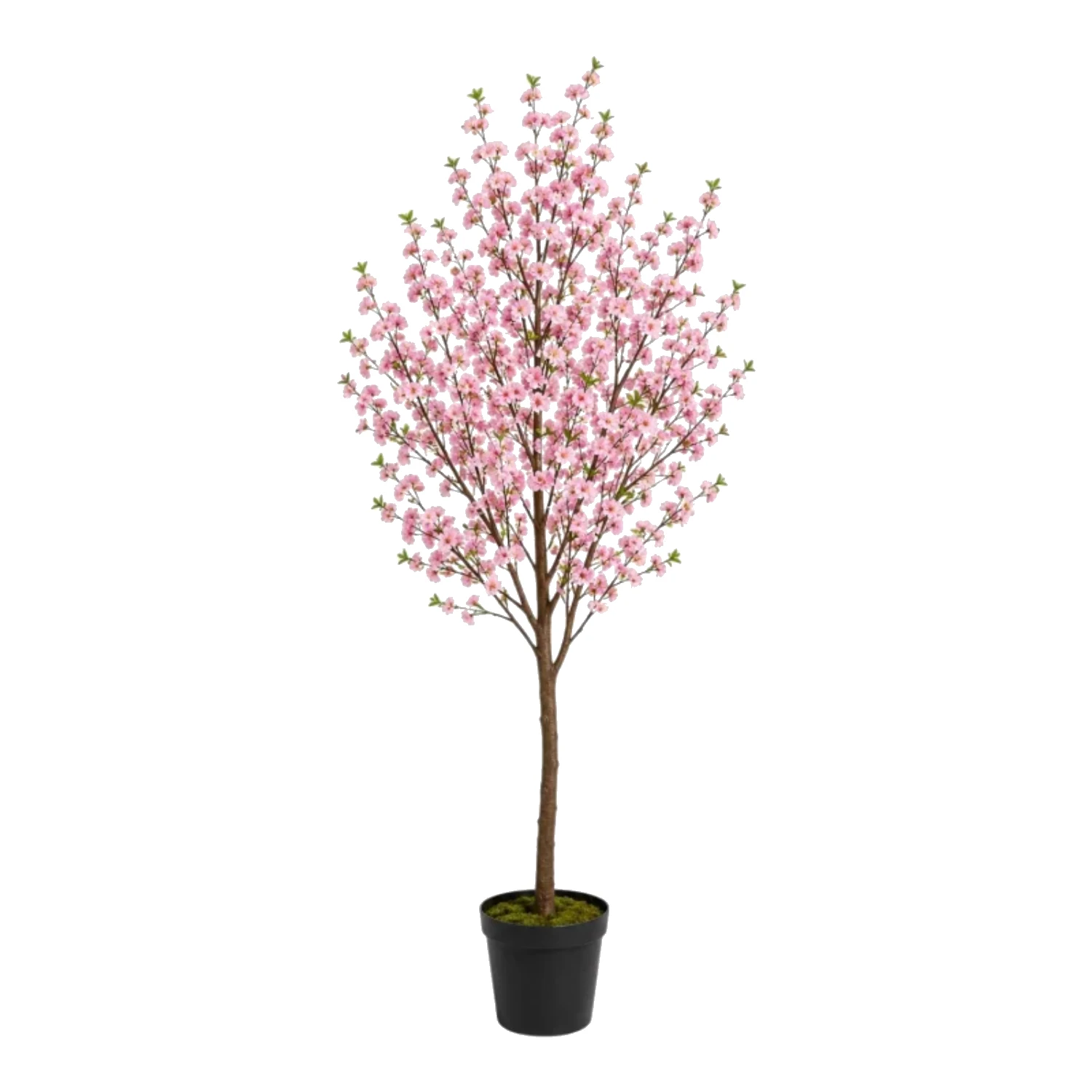 Yapay Sakura Dream Cherry Blossom Tree