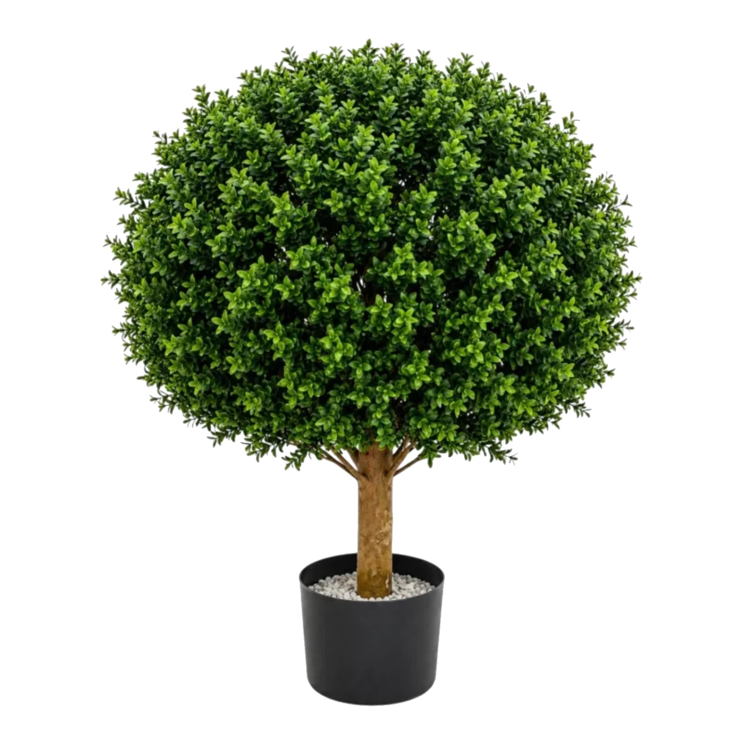 Classic Lollipop Topiary Tree