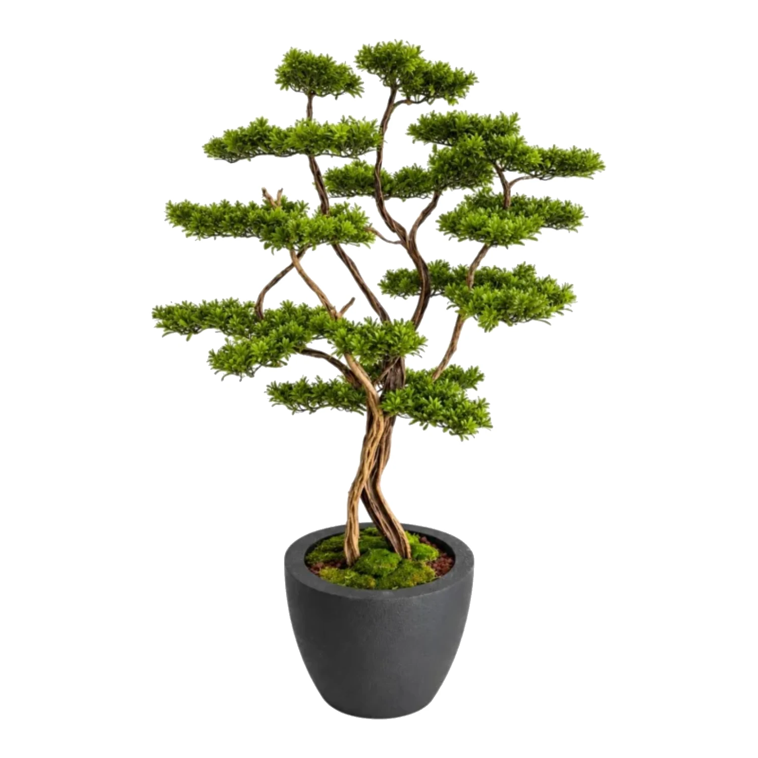 Serenity Faux Bonsai Tree