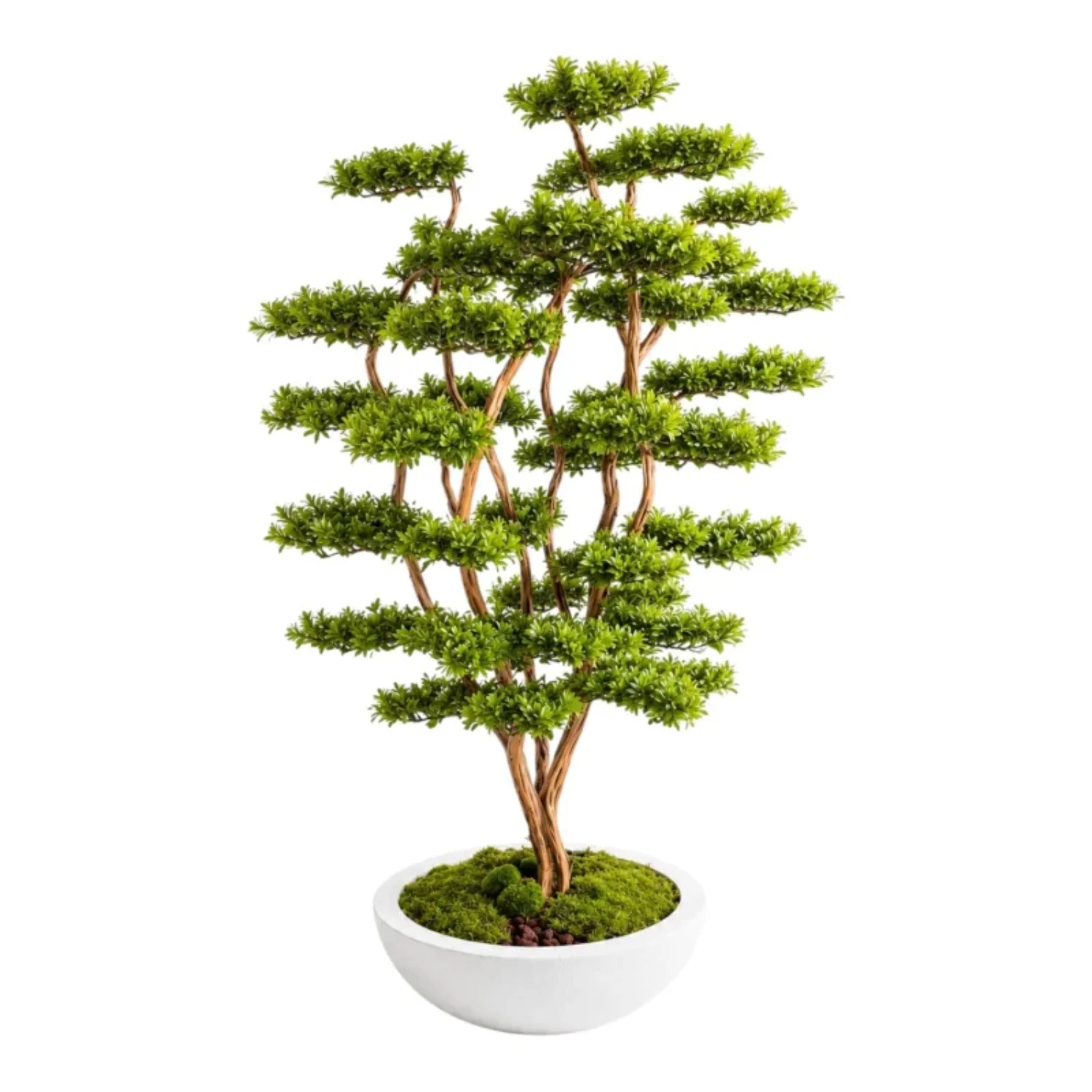 Tranquil Forest Faux Bonsai Tree