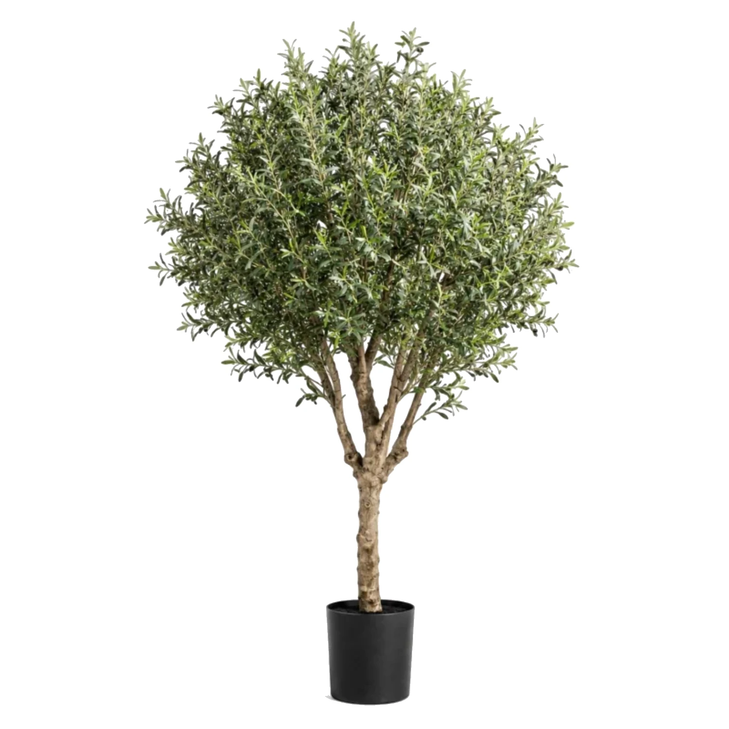 Yapay Zeytin Ağacı