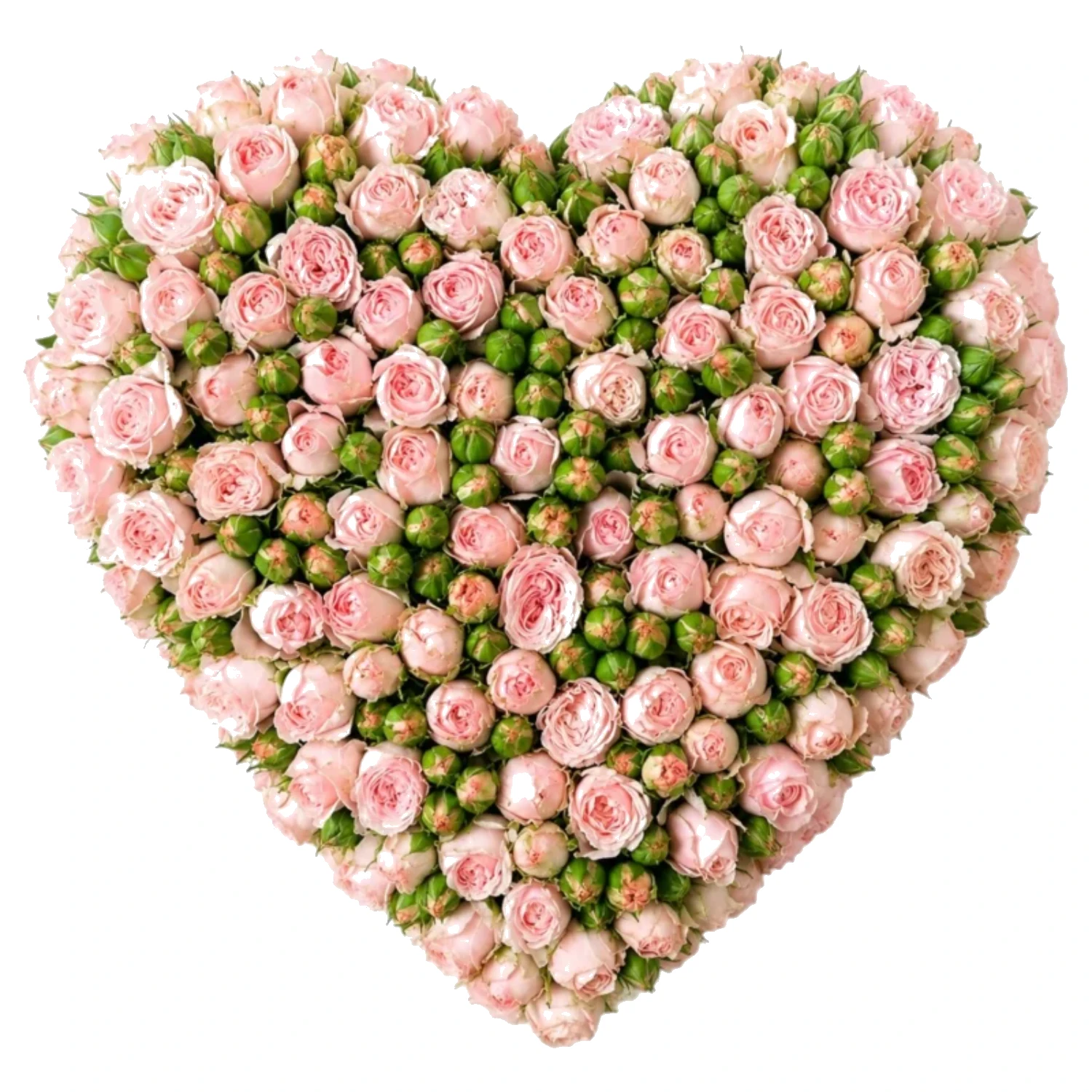 Heartbeat in Bloom