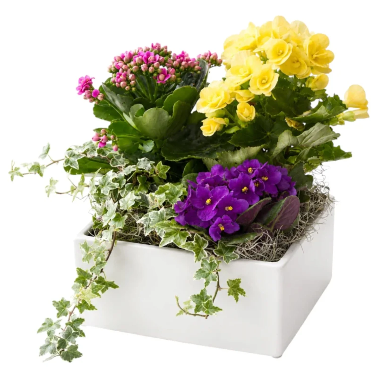 Garden in a Pot