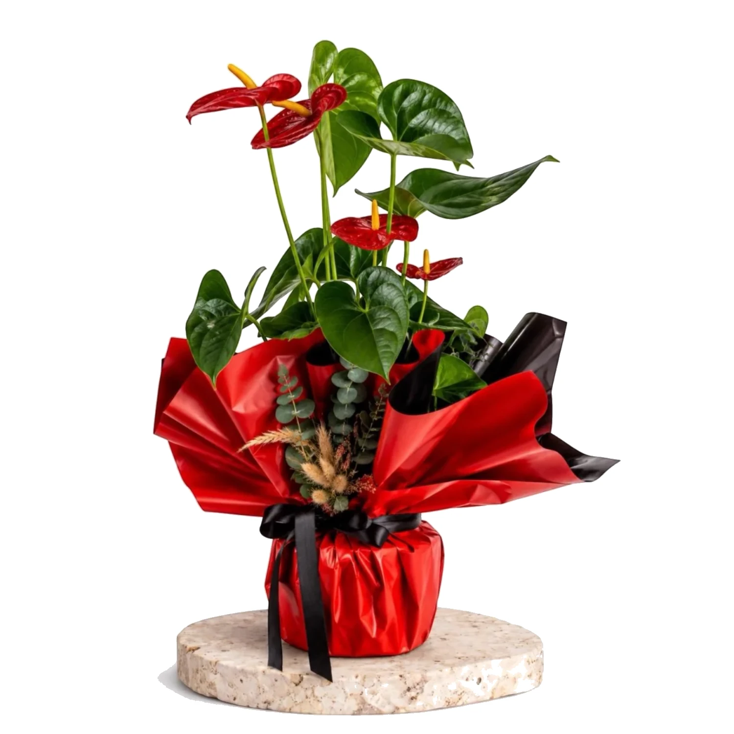 Crimson Anthurium Royale