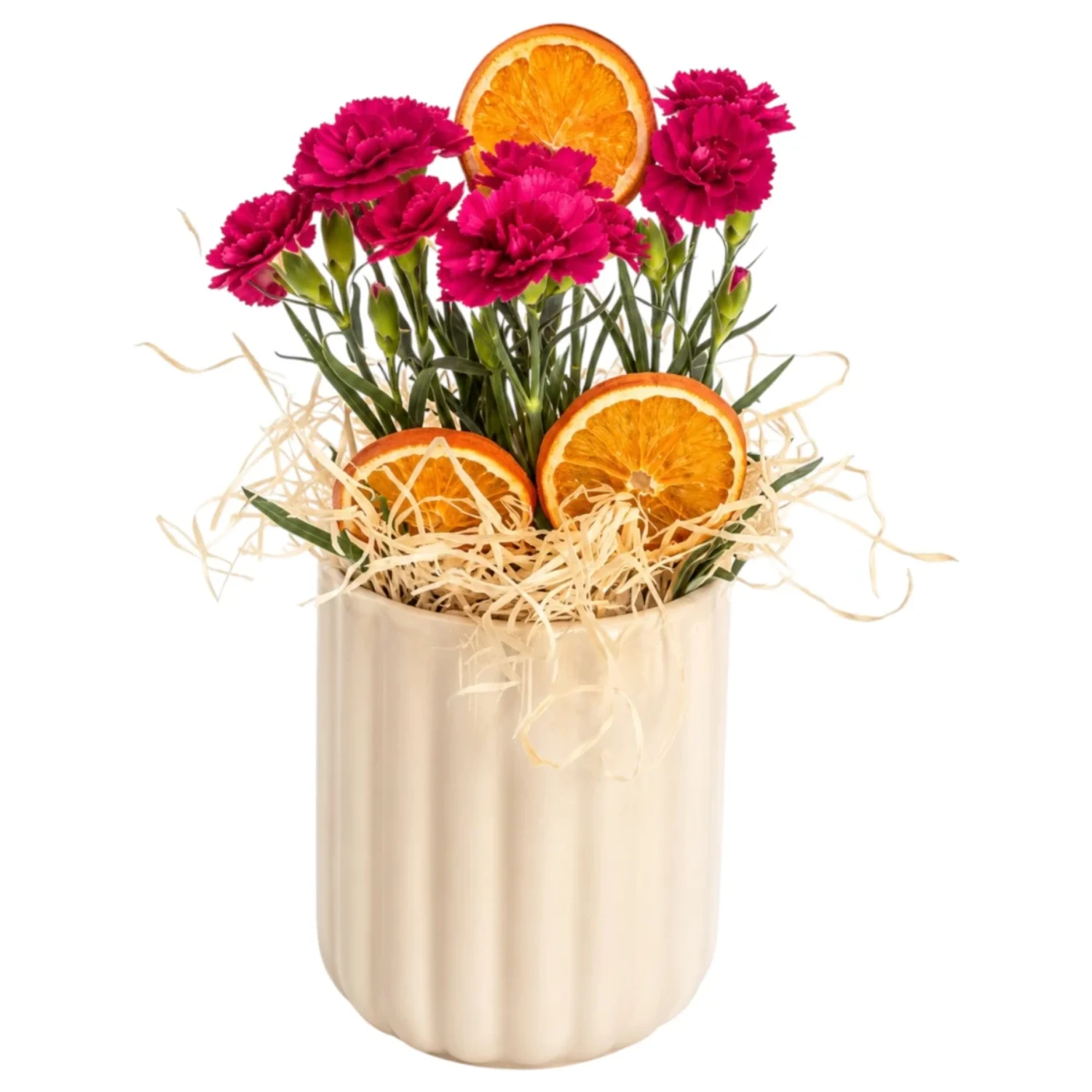 Sofia Fuchsia Carnation Arrangement