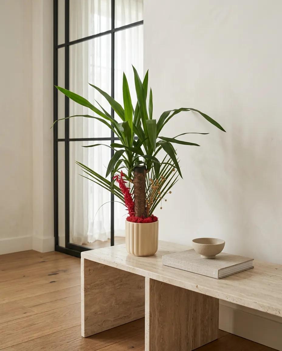 Seramik saksıda yeşil Yucca bitkisi, modern ev dekorasyonu için ideal, taze ve sağlıklı bitki
