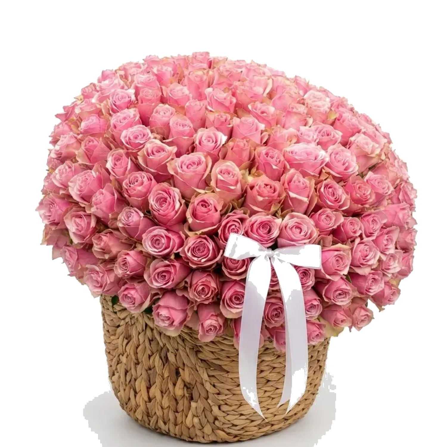Vip Pink Atena Gül Serisi