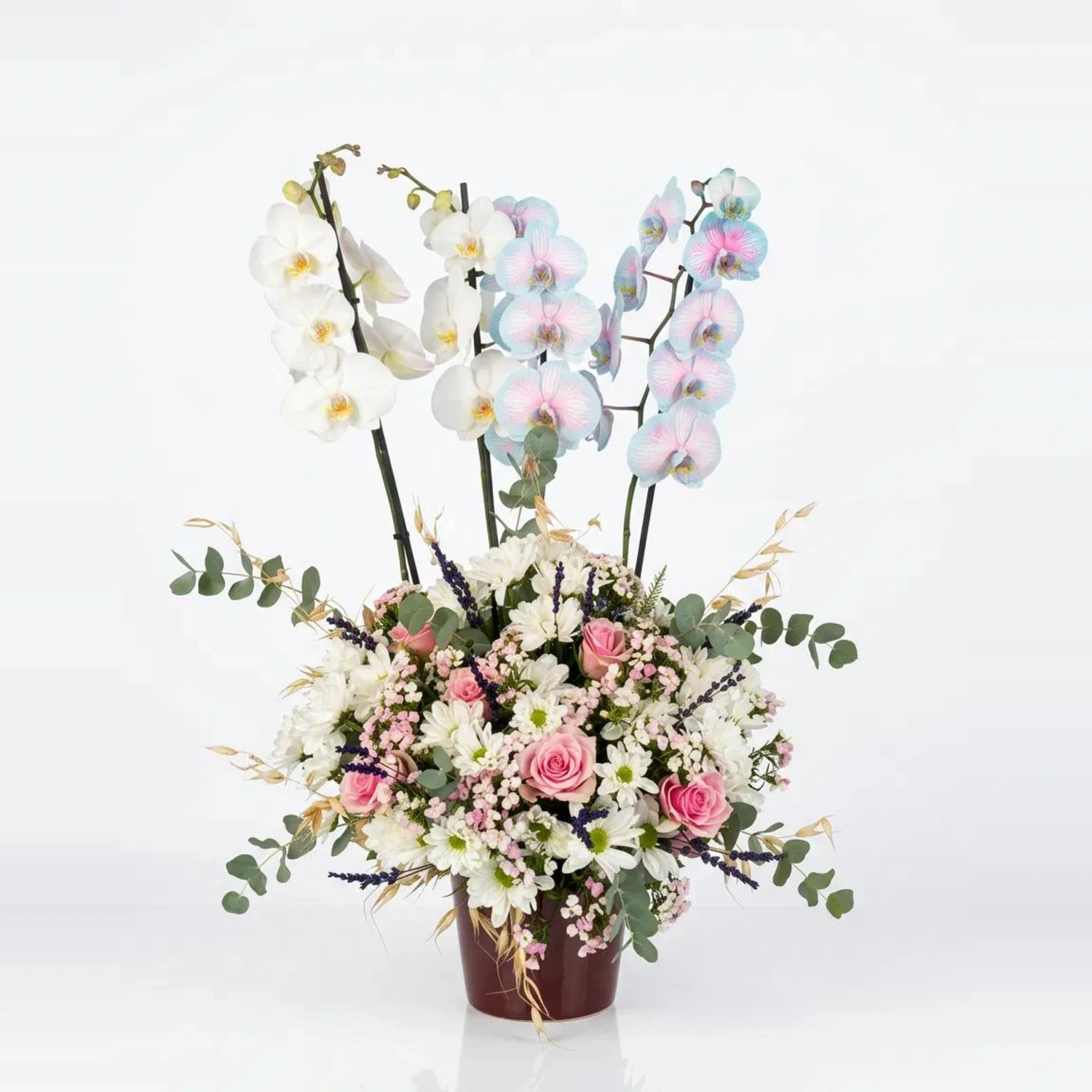 Valentina Pastel Orchid Luxury Arrangement
