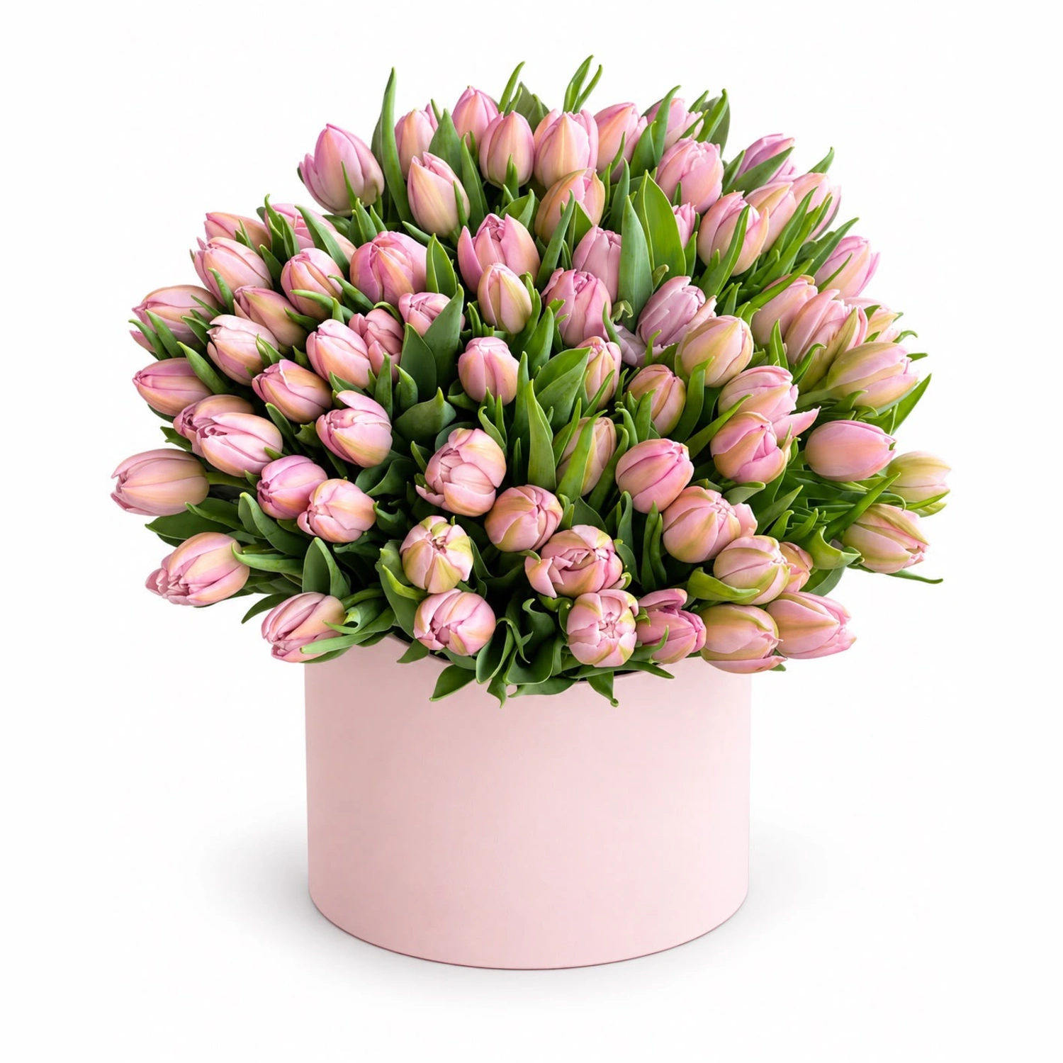 Ivy Pembe Lale Silindir Kutu