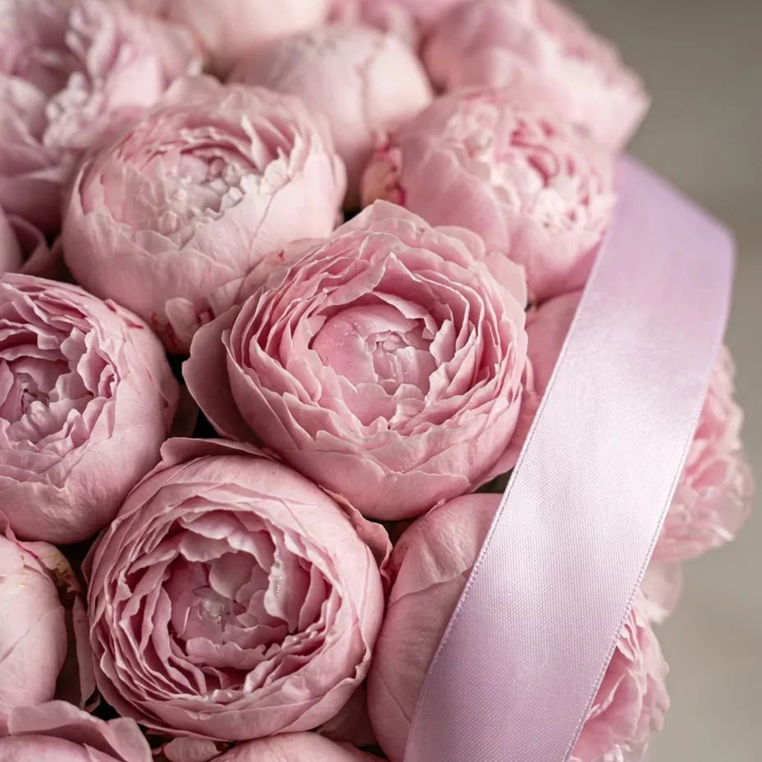 Clio Pembe Gül ve Şakayık Dev Buket - yaşam alanı fotoğrafı 3