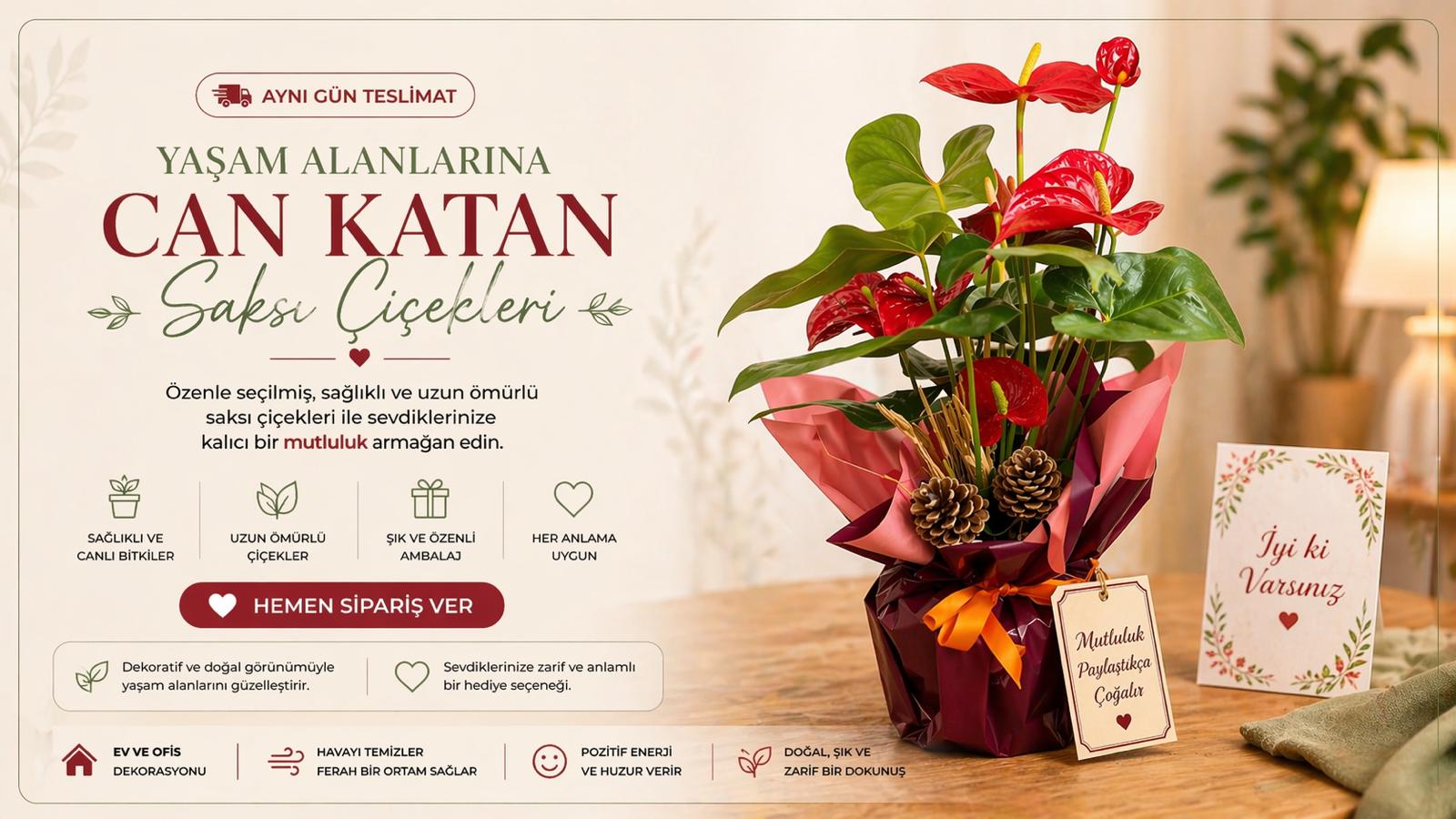saksı çiçekleri