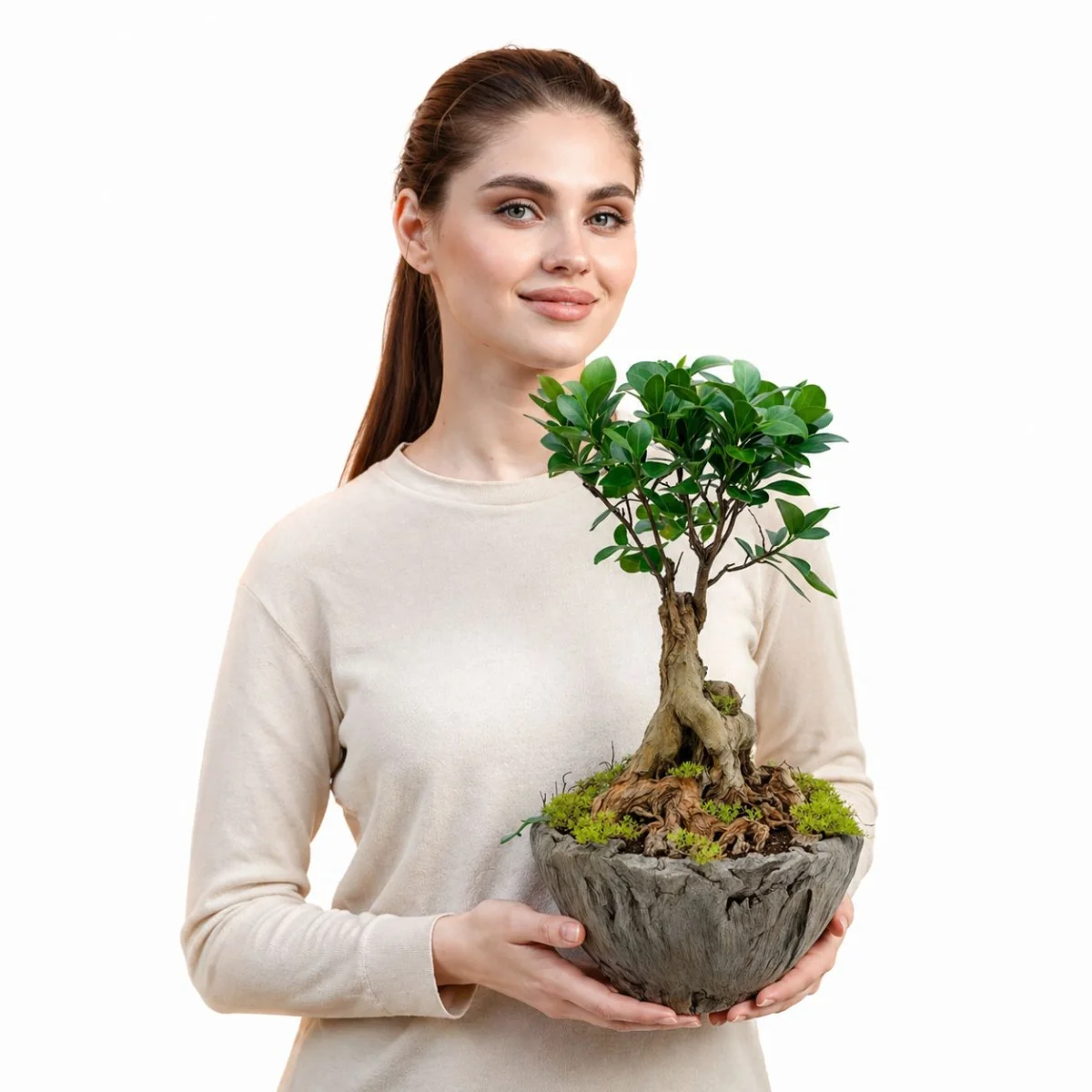 Doğal Bonsai Ağacı Dekoratif Saksı