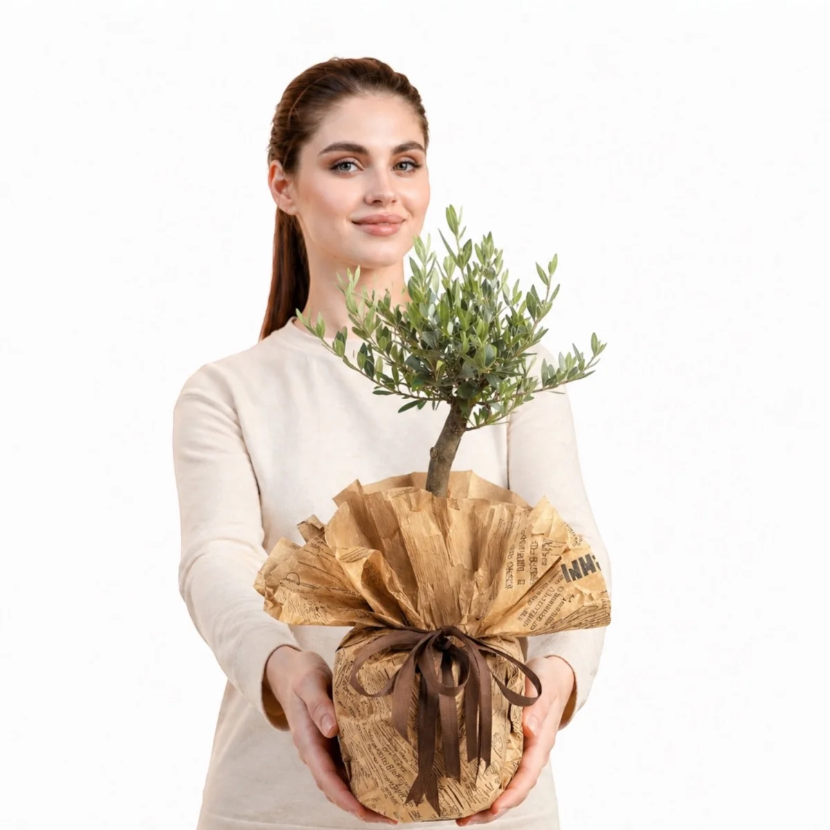 Zeytin Ağacı Bonsai
