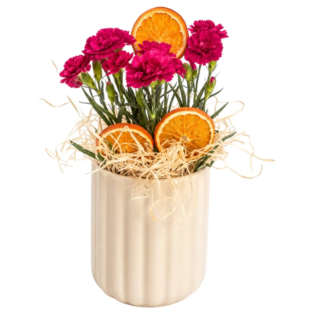 Sofia Fuchsia Carnation Arrangement
