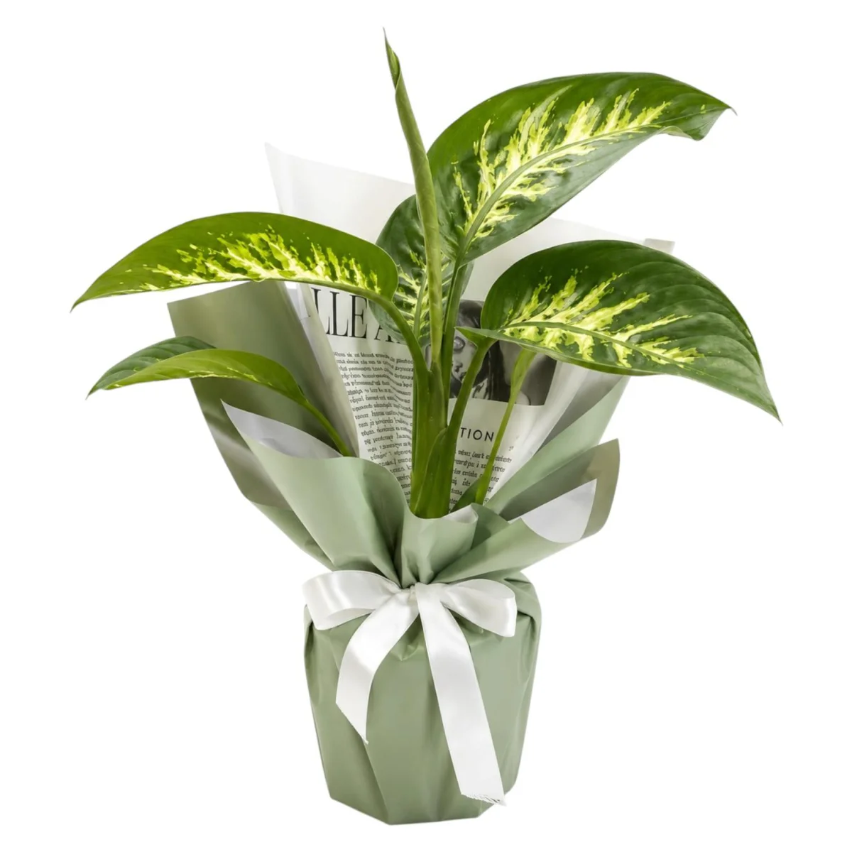 Emerald Leaf Elegance