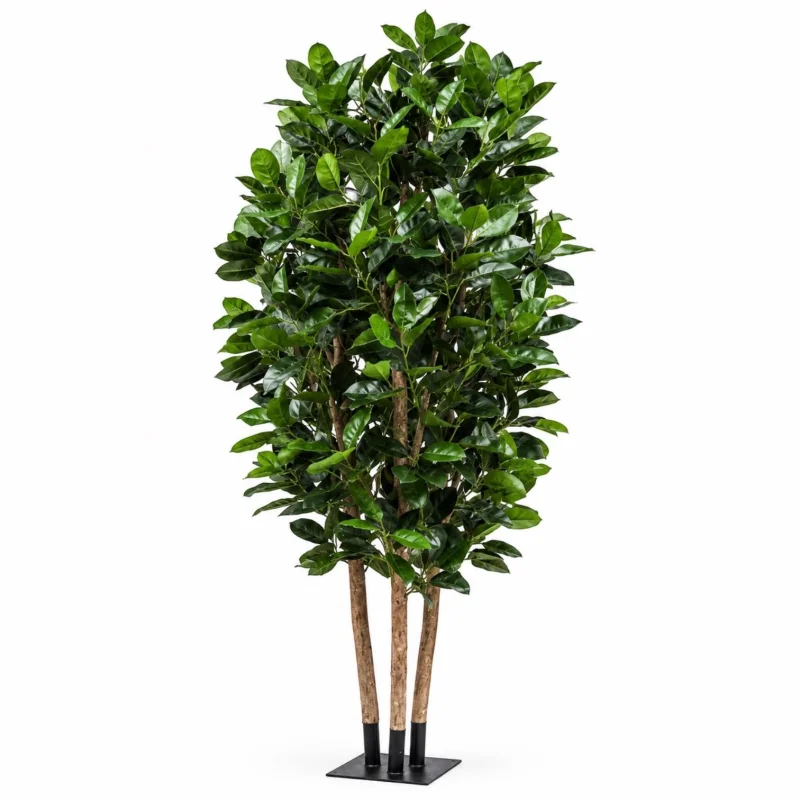 Yapay Ficus Agaç 180cm