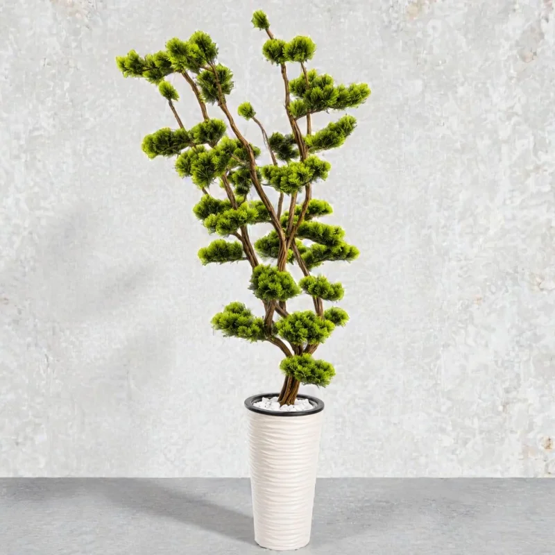 Yapay Bonsai Çam Ağacı