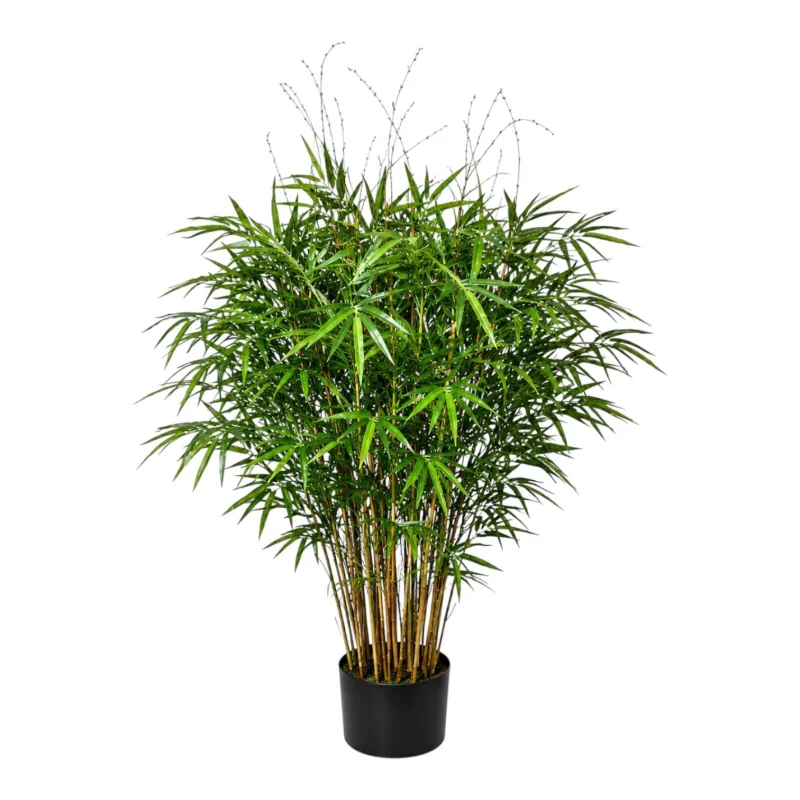 Tropical Bamboo Bush Tree