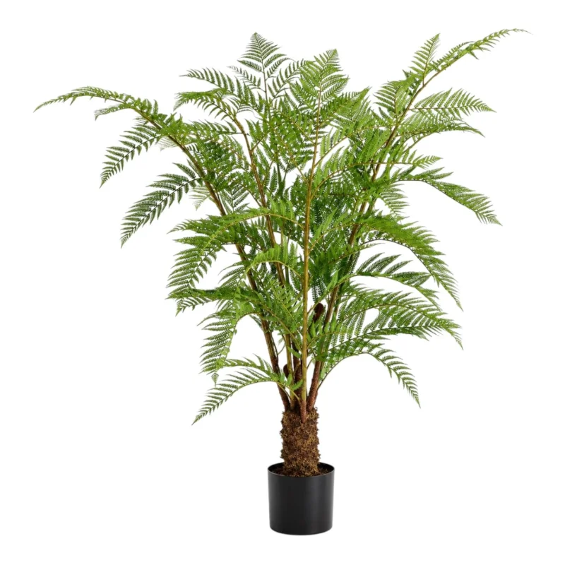 Ancient Forest Tree Fern