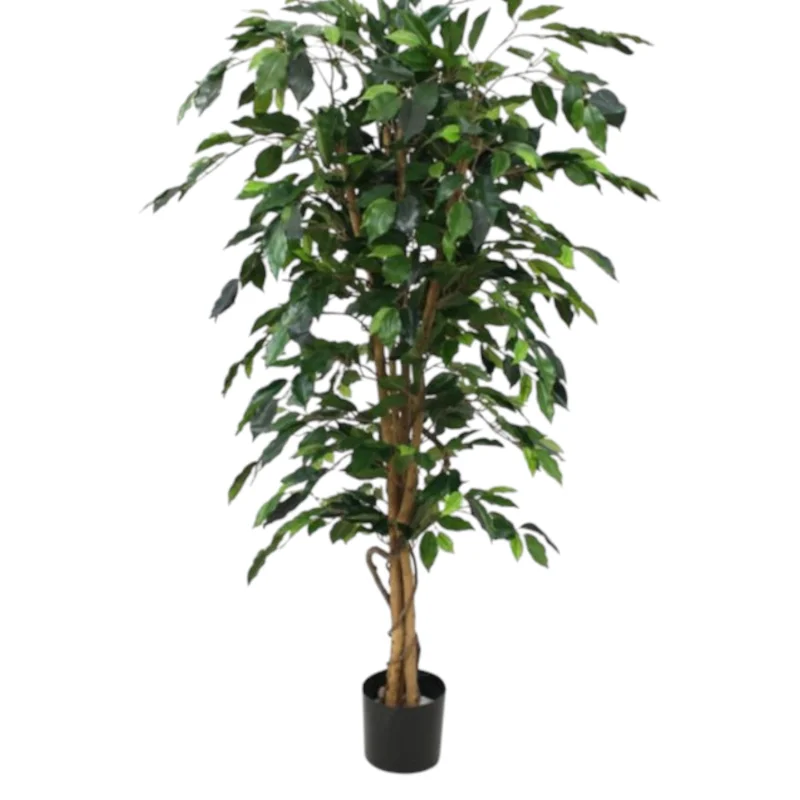 Yapay Ficus Ağacı  Dekoratif Salon Bitkisi