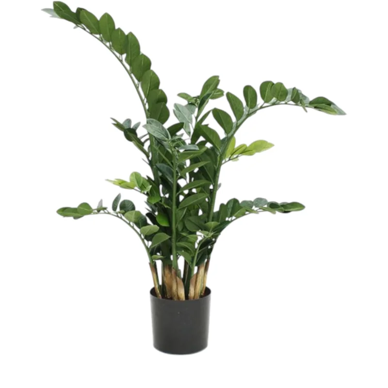Yapay Zamioculcas Dekoratif Salon Bitkisi