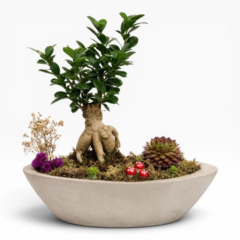 Doğal Bonsai Bahçesi ı