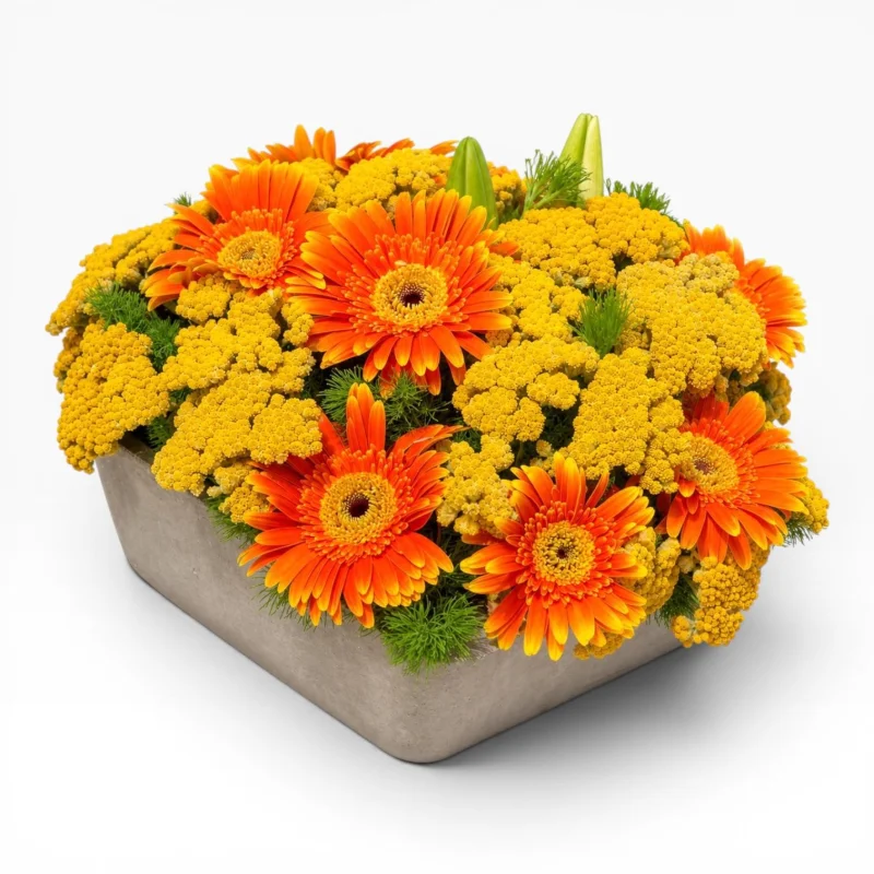 Turuncu Gerbera ve Civanperçemi Aranjmanı