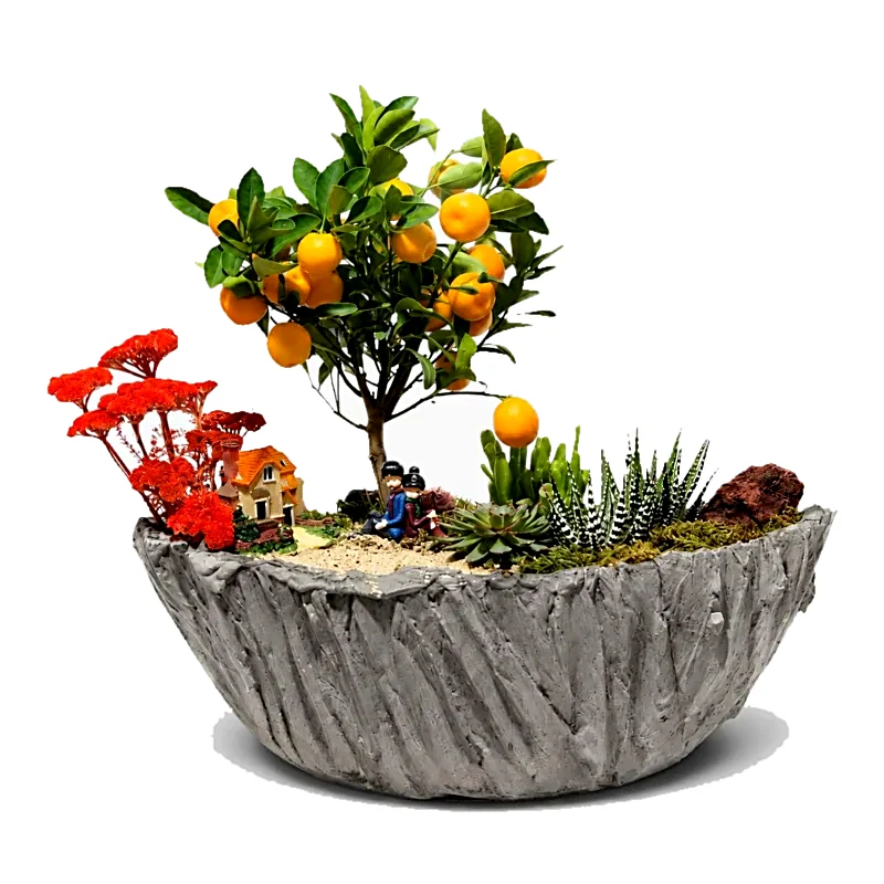 Mandalina Bonsai Teraryum Bahçesi